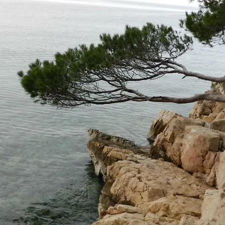 Lucija Jurkovic Lejlighed